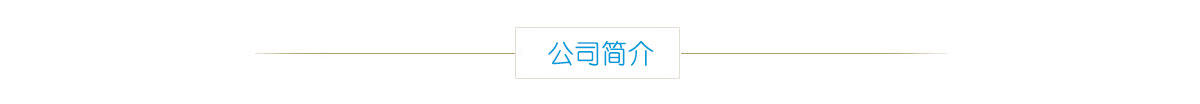 公司简介